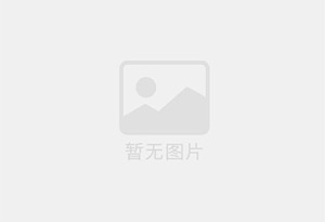 山东罗汉饼加盟